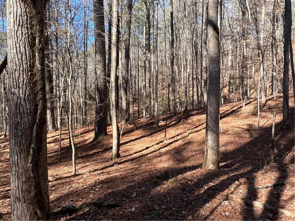 18 Lily Lane, Ellijay, GA 30540 — most recent listing photo
