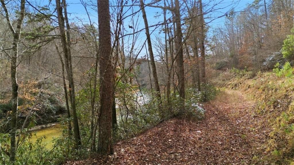 single family residence for sale at LOT 4 Olde Rockhouse, Demorest, GA 30535 — photo 9