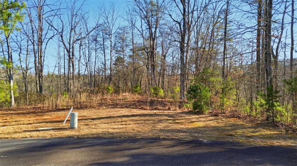 single family residence for sale at LOT 4 Olde Rockhouse, Demorest, GA 30535 — photo 10