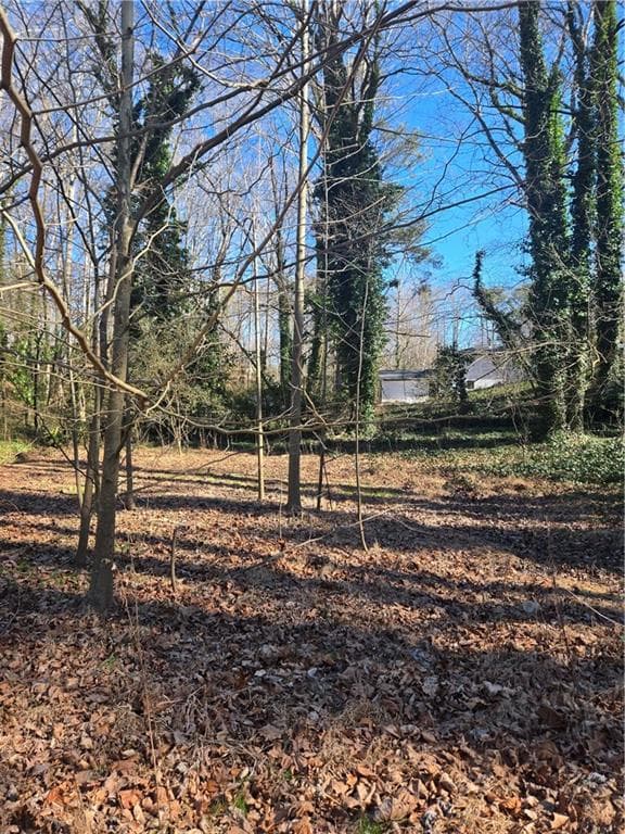unimproved land for sale at 5674 Woodland Drive, Acworth, GA 30102 — photo 1 of 13