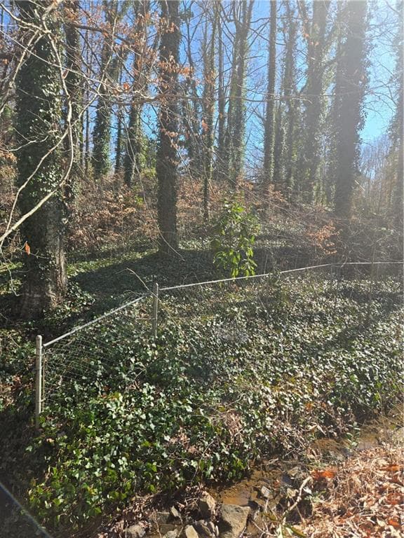 unimproved land for sale at 5674 Woodland Drive, Acworth, GA 30102 — photo 2