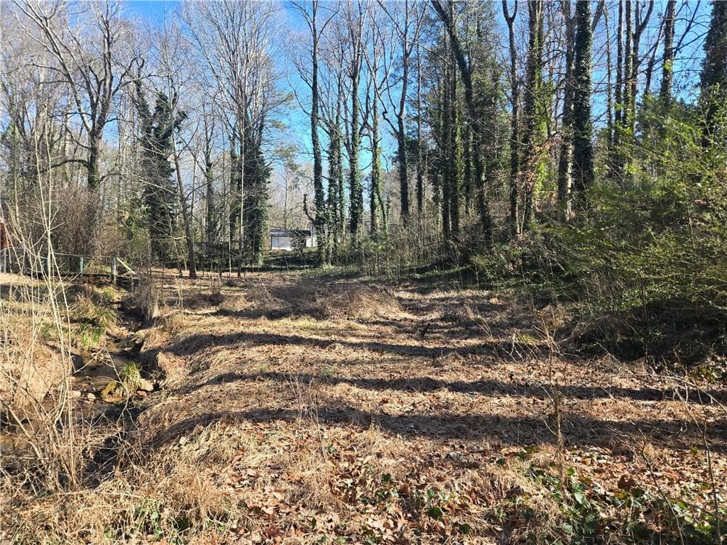 unimproved land for sale at 5674 Woodland Drive, Acworth, GA 30102 — photo 3