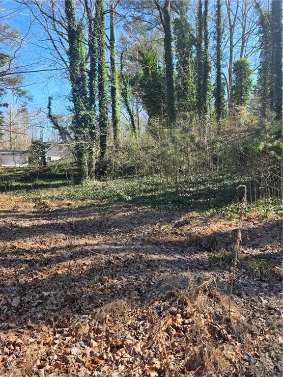 unimproved land for sale at 5674 Woodland Drive, Acworth, GA 30102 — photo 5