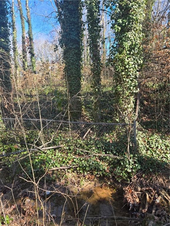 unimproved land for sale at 5674 Woodland Drive, Acworth, GA 30102 — photo 6