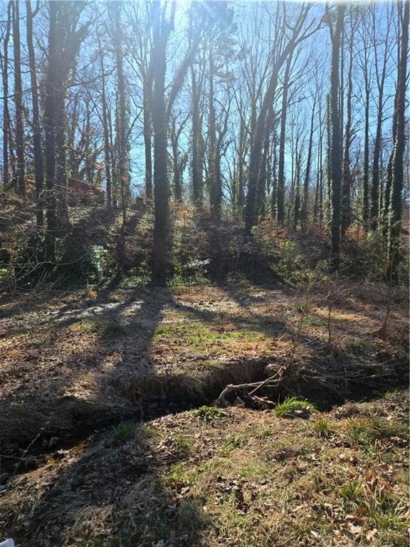 unimproved land for sale at 5674 Woodland Drive, Acworth, GA 30102 — photo 8