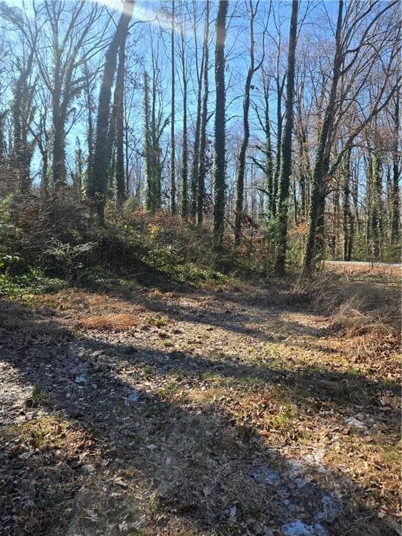 unimproved land for sale at 5674 Woodland Drive, Acworth, GA 30102 — photo 9