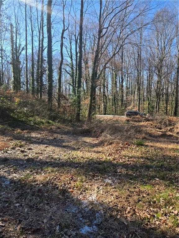 unimproved land for sale at 5674 Woodland Drive, Acworth, GA 30102 — photo 10