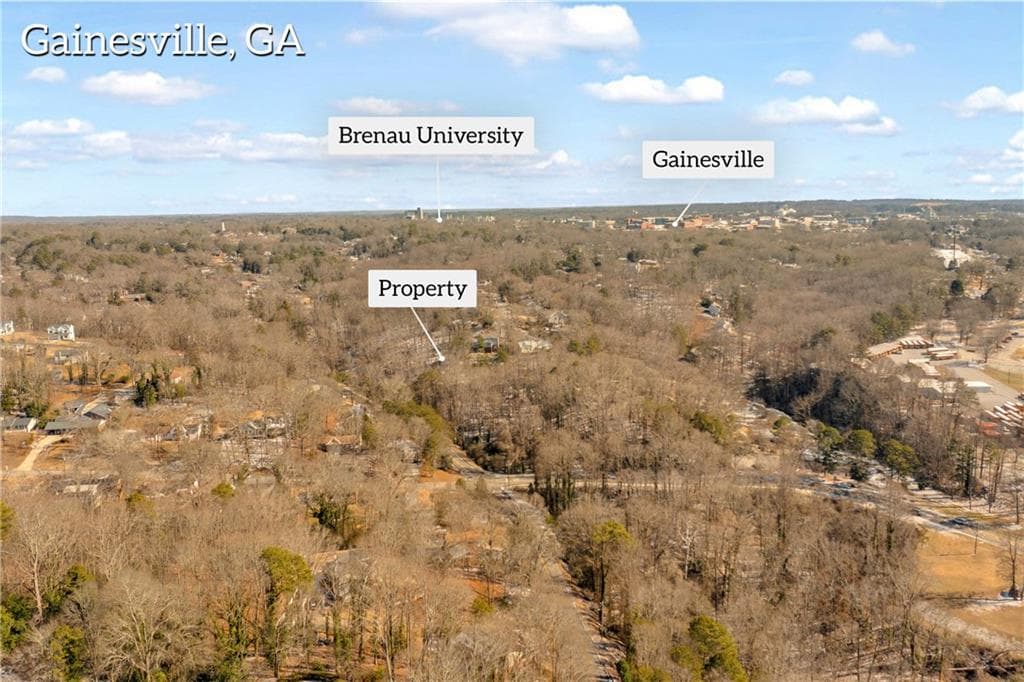 other for sale at 841 Dixon Drive, Gainesville, GA 30501 — photo 10