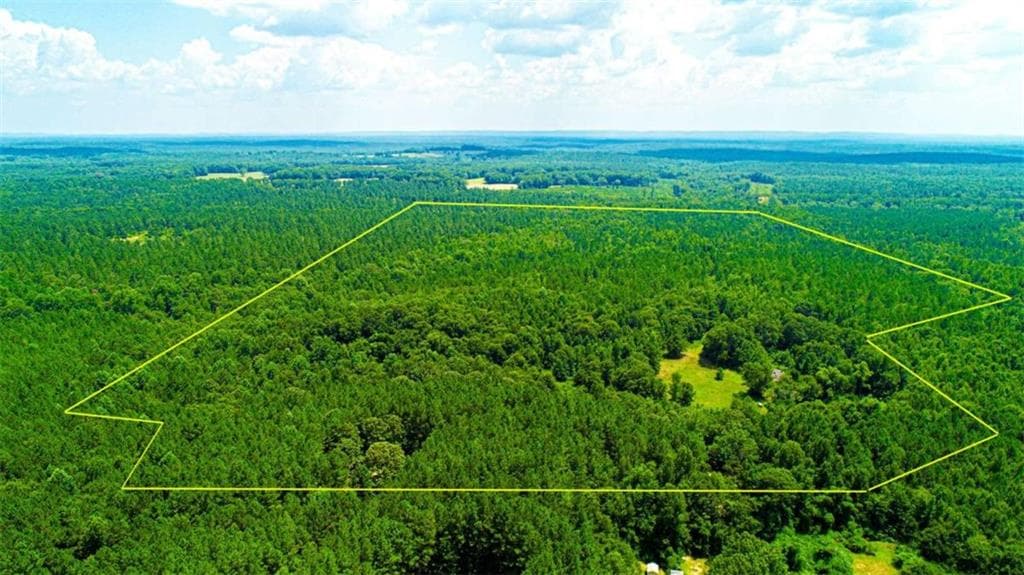 other for sale at 4444 Rea Lagrange Highway, Greenville, GA 30222 — photo 2