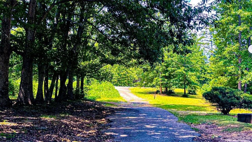 other for sale at 4444 Rea Lagrange Highway, Greenville, GA 30222 — photo 7