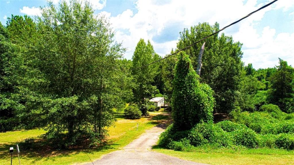 other for sale at 4444 Rea Lagrange Highway, Greenville, GA 30222 — photo 8