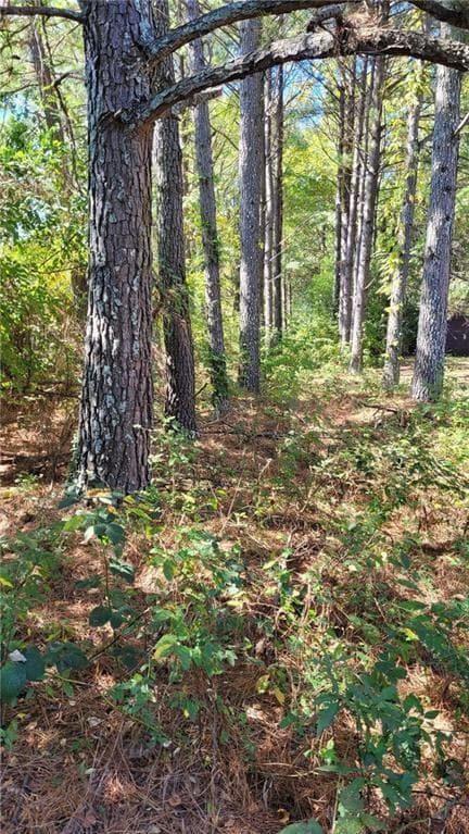 unimproved land for sale at 0 Barge Road, Atlanta, GA 30331 — photo 6