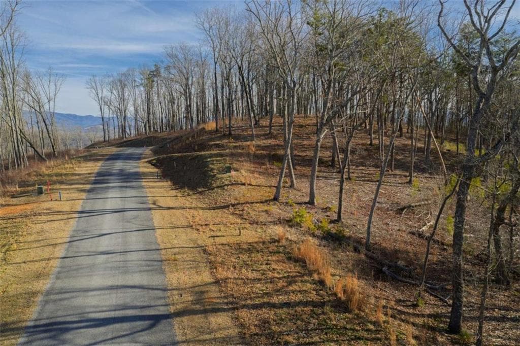 single family residence for sale at LOT 52 High Summit Drive, Talking Rock, GA 30175 — photo 7