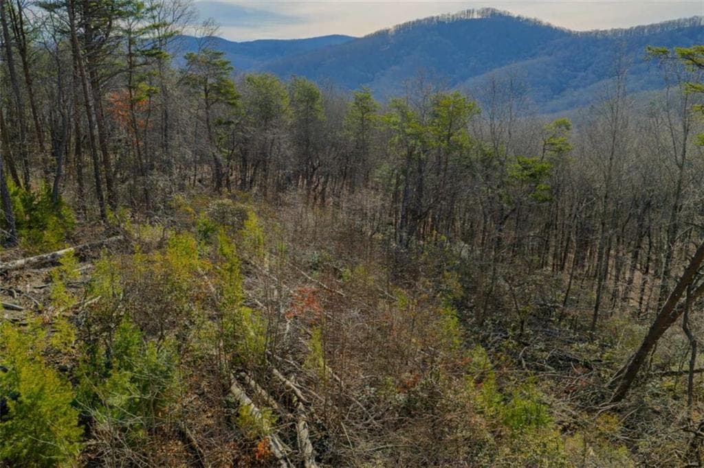 single family residence for sale at LOT 52 High Summit Drive, Talking Rock, GA 30175 — photo 8