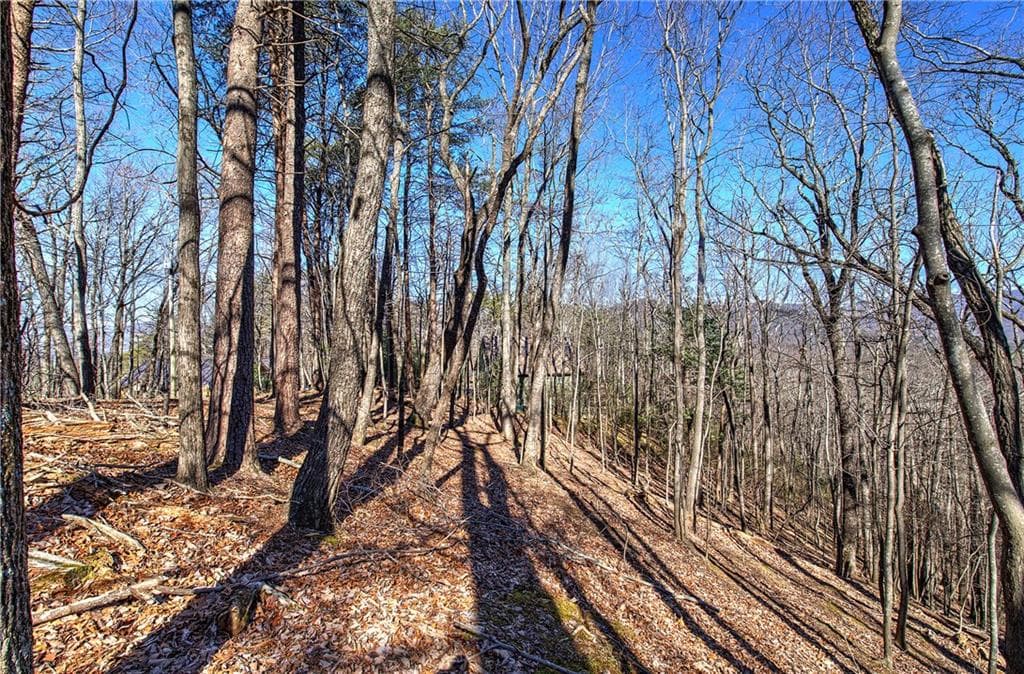 single family residence for sale at 0 Walnut Mountain Road, Ellijay, GA 30536 — photo 2