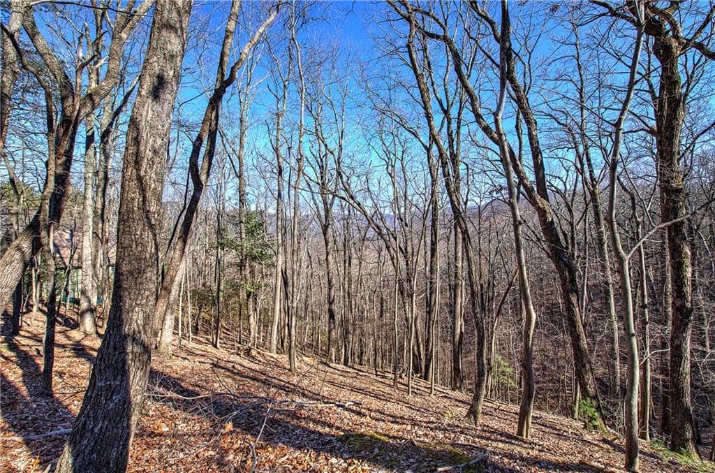 single family residence for sale at 0 Walnut Mountain Road, Ellijay, GA 30536 — photo 3