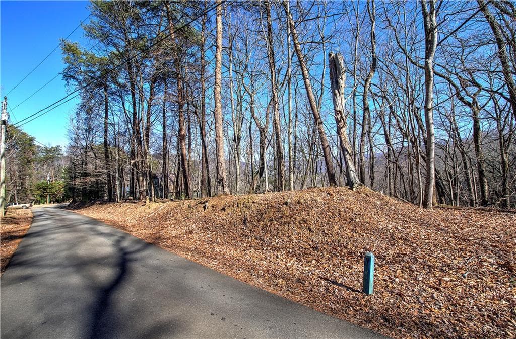 single family residence for sale at 0 Walnut Mountain Road, Ellijay, GA 30536 — photo 4