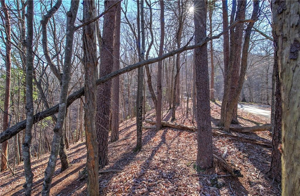 single family residence for sale at 0 Walnut Mountain Road, Ellijay, GA 30536 — photo 5
