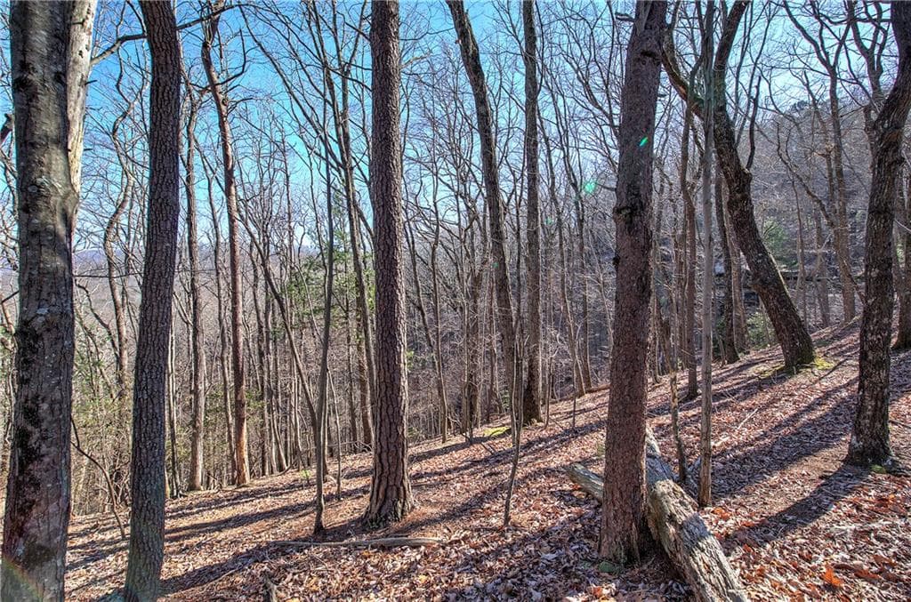 single family residence for sale at 0 Walnut Mountain Road, Ellijay, GA 30536 — photo 6