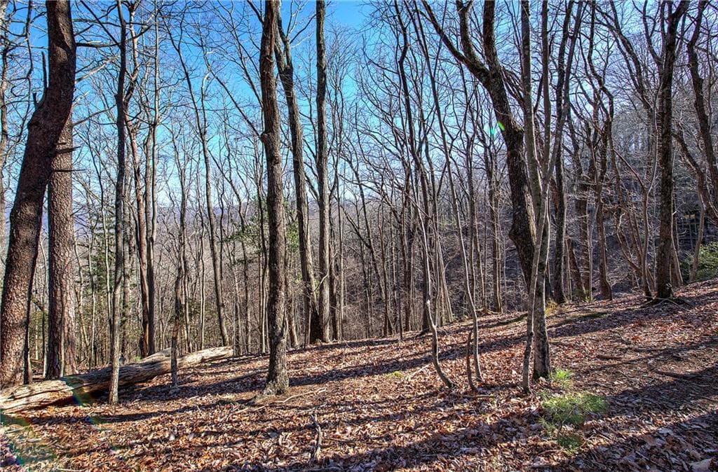 single family residence for sale at 0 Walnut Mountain Road, Ellijay, GA 30536 — photo 7