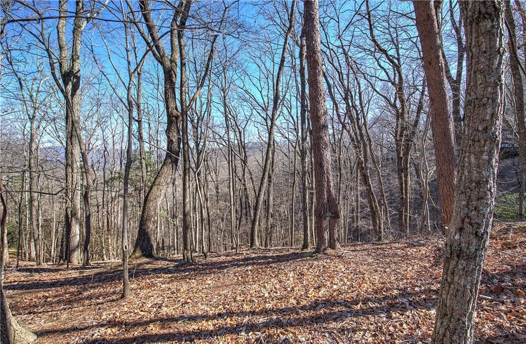 single family residence for sale at 0 Walnut Mountain Road, Ellijay, GA 30536