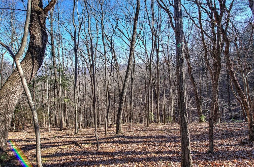 single family residence for sale at 0 Walnut Mountain Road, Ellijay, GA 30536 — photo 8