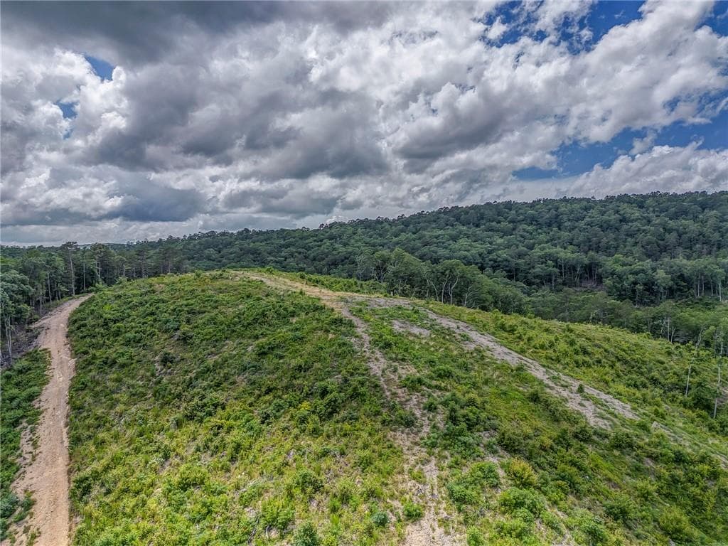 unimproved land for sale at 00 Big Texas Valley, Rome, GA 30165 — photo 2