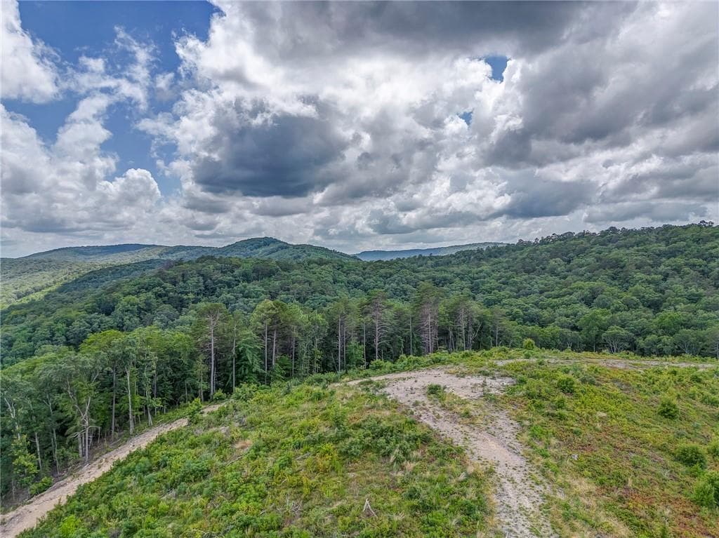 unimproved land for sale at 00 Big Texas Valley, Rome, GA 30165 — photo 3