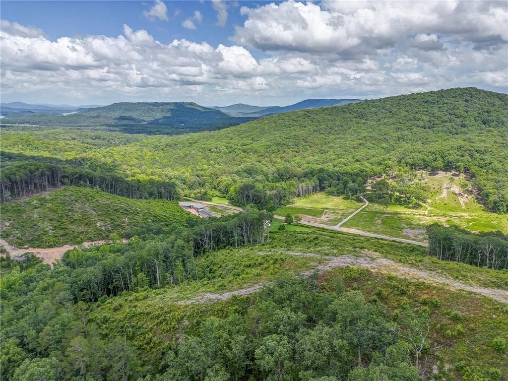 unimproved land for sale at 00 Big Texas Valley, Rome, GA 30165 — photo 6