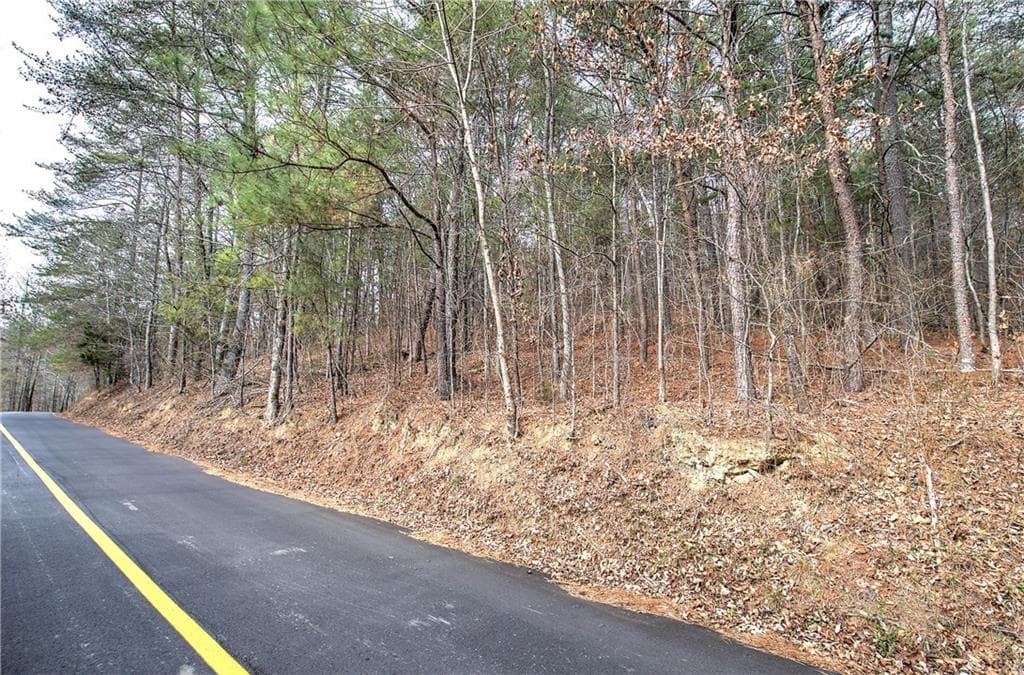 unimproved land for sale at 00 Manning Mill Road, Summerville, GA 30747 — photo 2