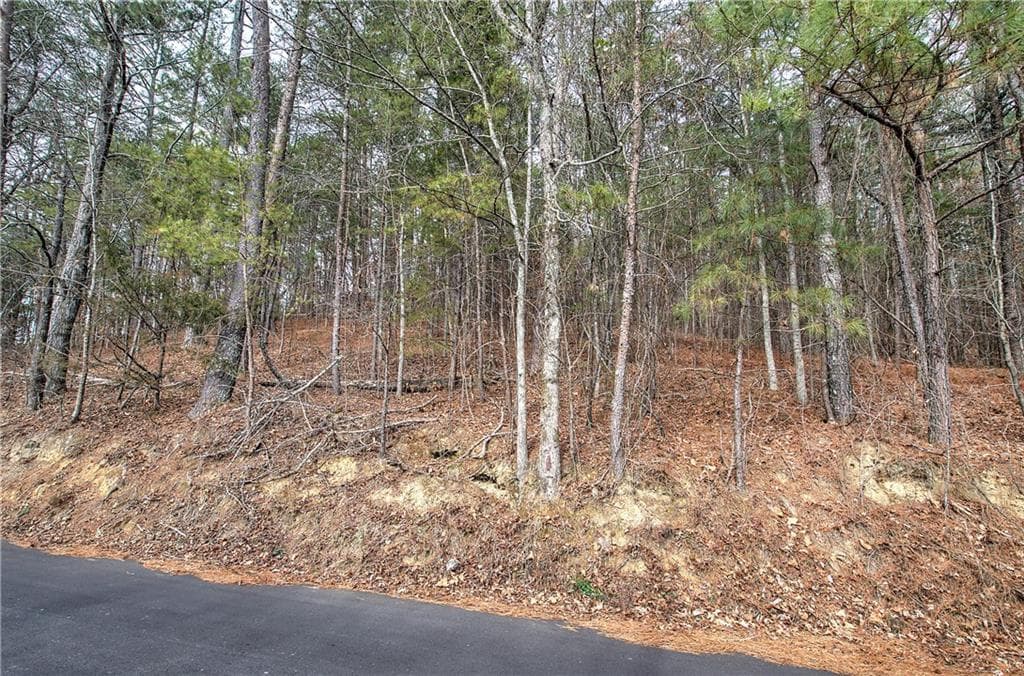 unimproved land for sale at 00 Manning Mill Road, Summerville, GA 30747 — photo 3