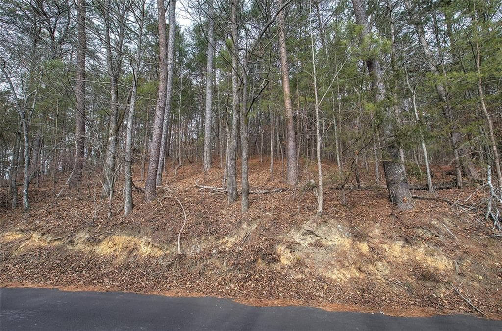 unimproved land for sale at 00 Manning Mill Road, Summerville, GA 30747 — photo 4