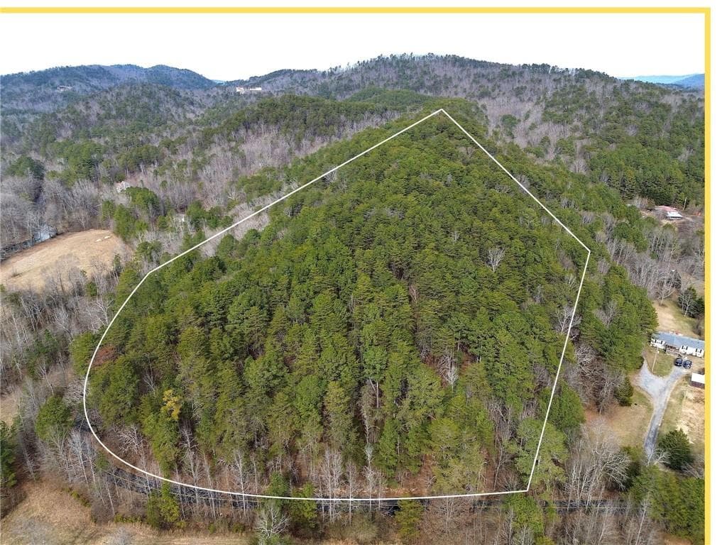 unimproved land for sale at 00 Manning Mill Road, Summerville, GA 30747 — photo 5