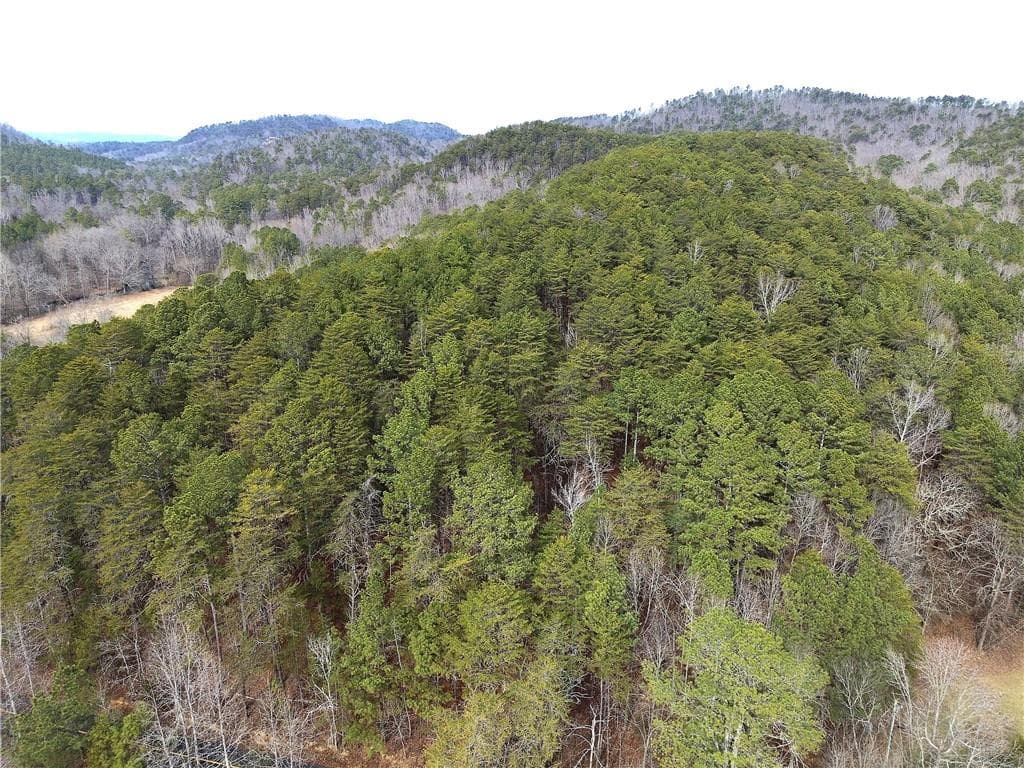 unimproved land for sale at 00 Manning Mill Road, Summerville, GA 30747 — photo 6
