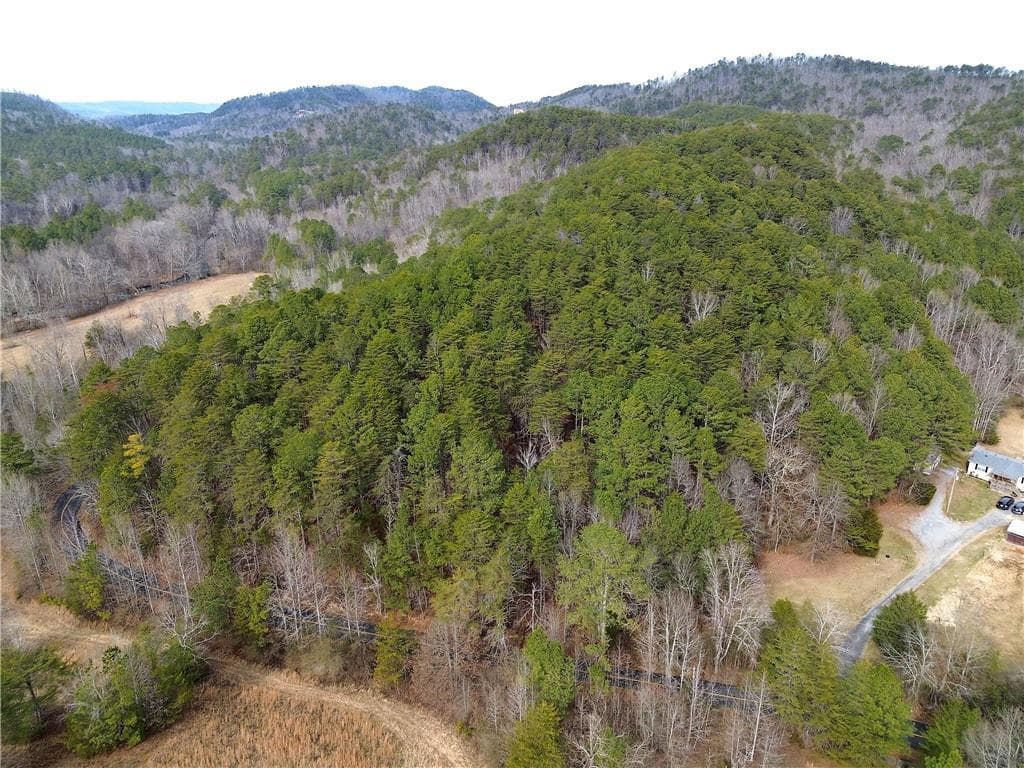 unimproved land for sale at 00 Manning Mill Road, Summerville, GA 30747 — photo 7