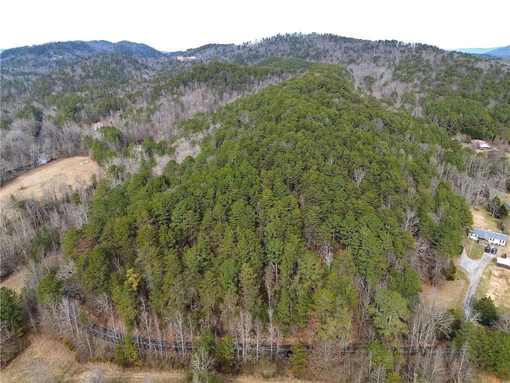 unimproved land for sale at 00 Manning Mill Road, Summerville, GA 30747 — photo 8