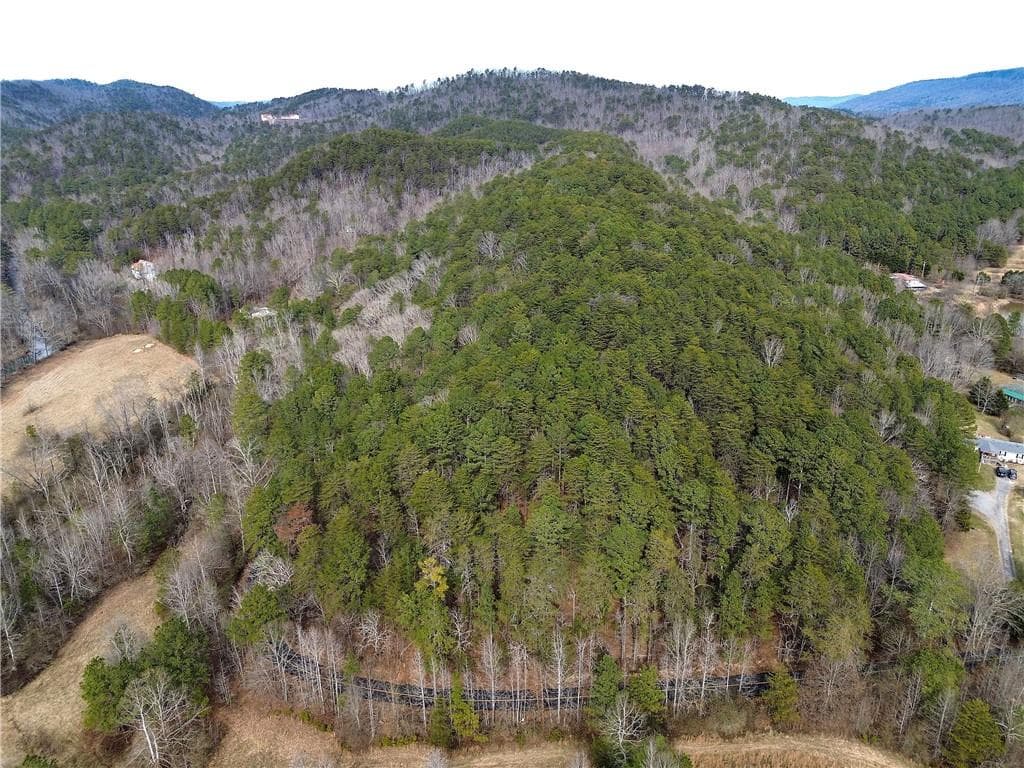 unimproved land for sale at 00 Manning Mill Road, Summerville, GA 30747 — photo 9