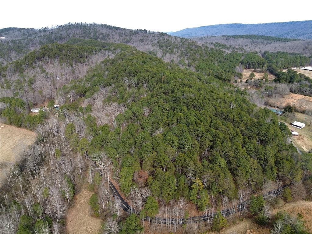 unimproved land for sale at 00 Manning Mill Road, Summerville, GA 30747 — photo 10