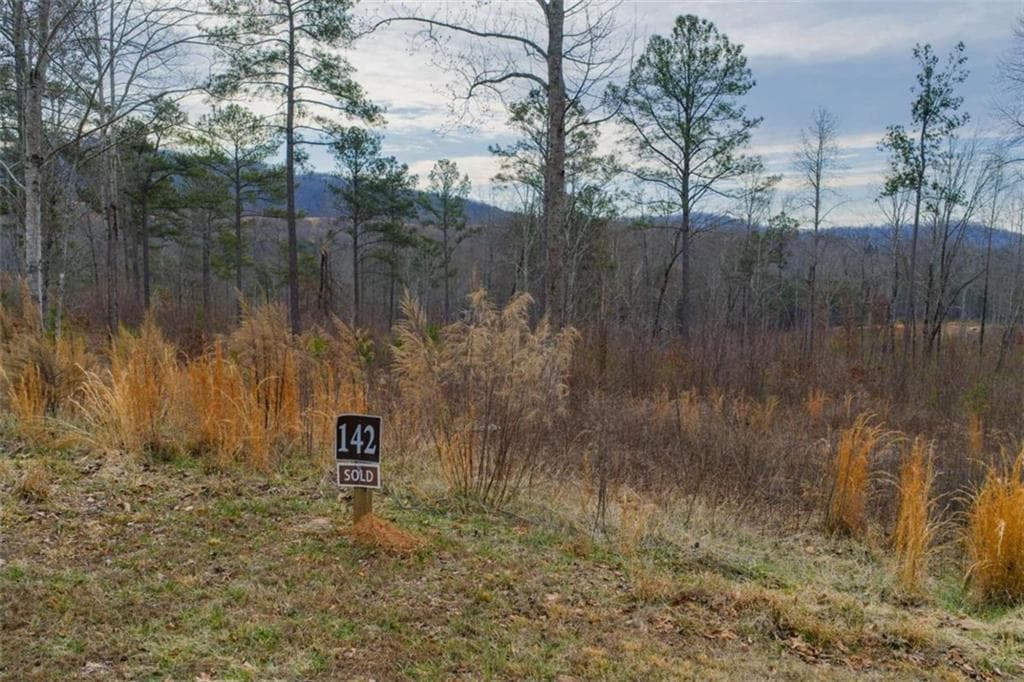 single family residence sold at LT 142 Twisted Oak Road, Talking Rock, GA 30175