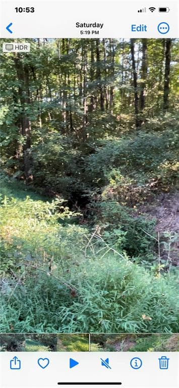 unimproved land for sale at 5992 Little Mountain Drive, Ellenwood, GA 30294 — photo 2