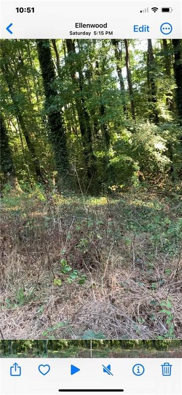 unimproved land for sale at 5992 Little Mountain Drive, Ellenwood, GA 30294 — photo 3