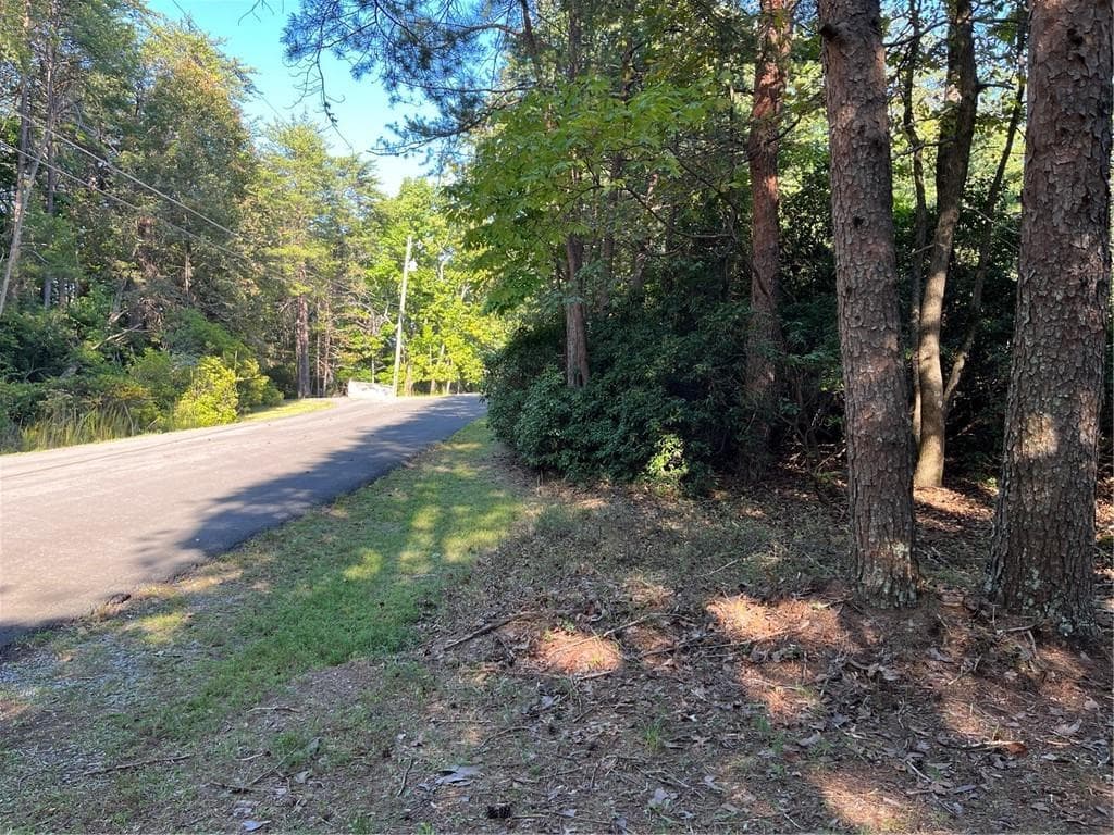 152 Silver Fox Loop