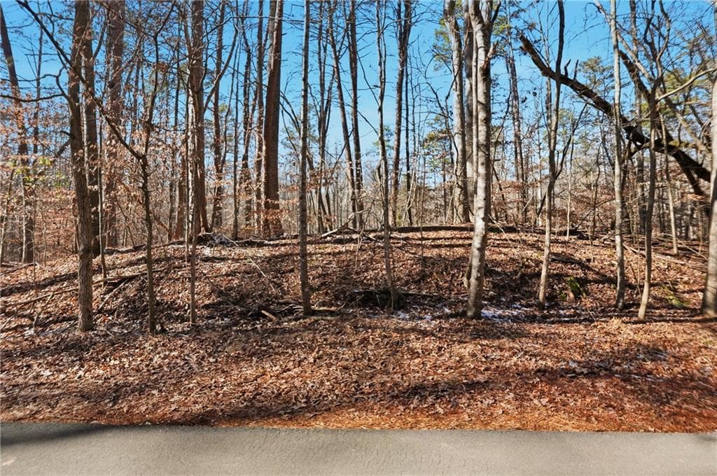 other for sale at 3220 Hidden Valley Road, Gainesville, GA 30506 — photo 6