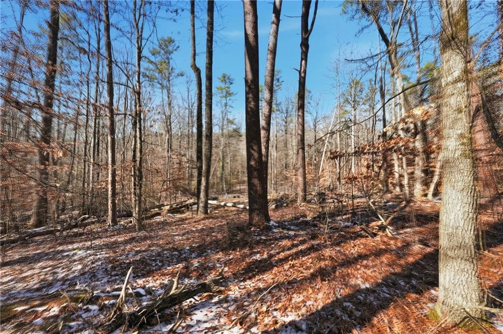 other for sale at 3220 Hidden Valley Road, Gainesville, GA 30506 — photo 7