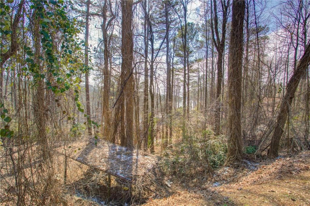 other for sale at 20 Pine Forest Circle, Gainesville, GA 30504 — photo 6