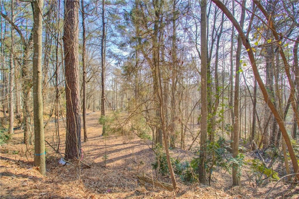 other for sale at 20 Pine Forest Circle, Gainesville, GA 30504 — photo 8
