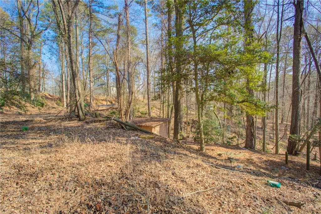 other for sale at 20 Pine Forest Circle, Gainesville, GA 30504 — photo 9