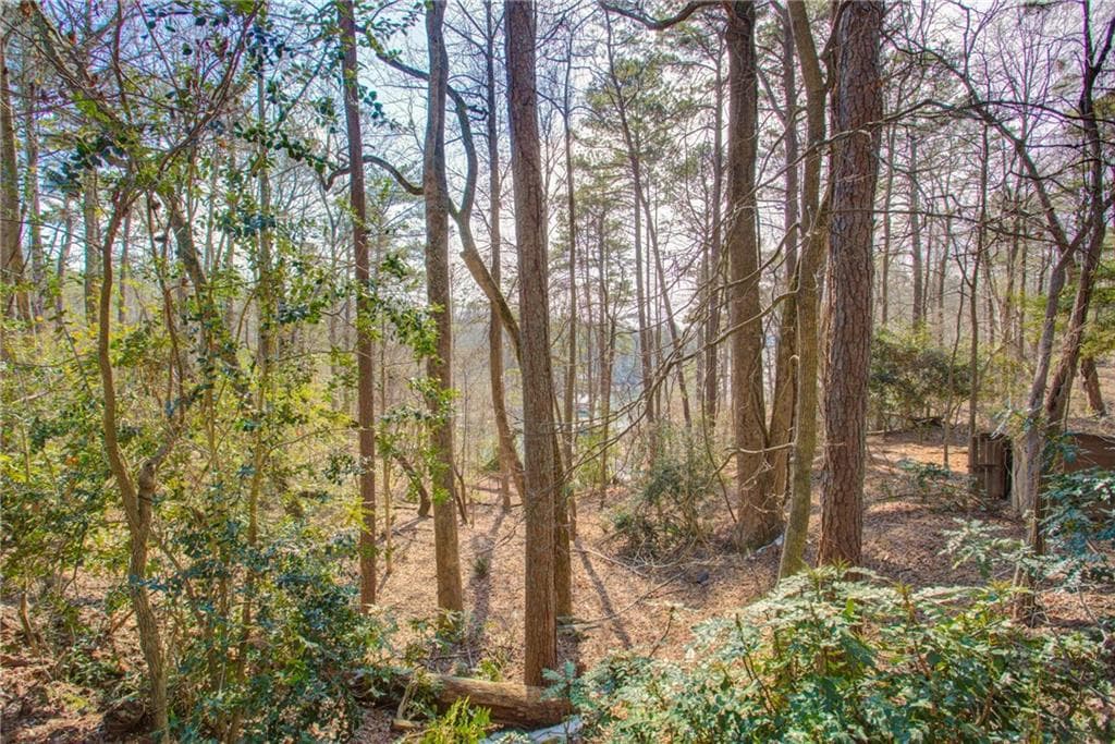 other for sale at 20 Pine Forest Circle, Gainesville, GA 30504 — photo 10