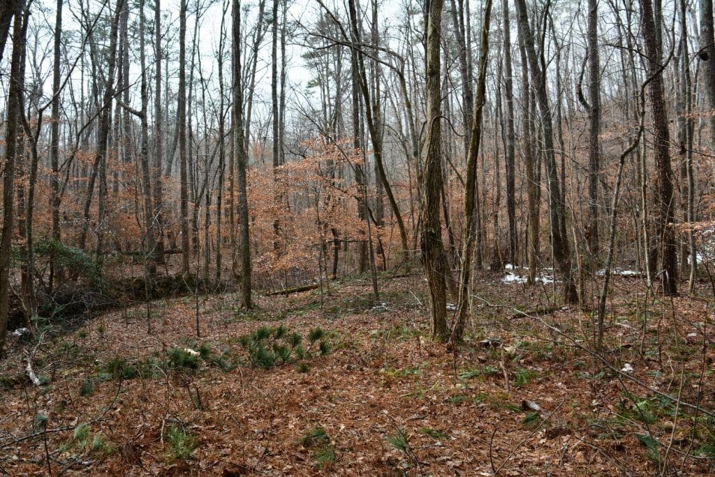 unimproved land for sale at 0 Willow Springs Road, Dallas, GA 30132 — photo 2