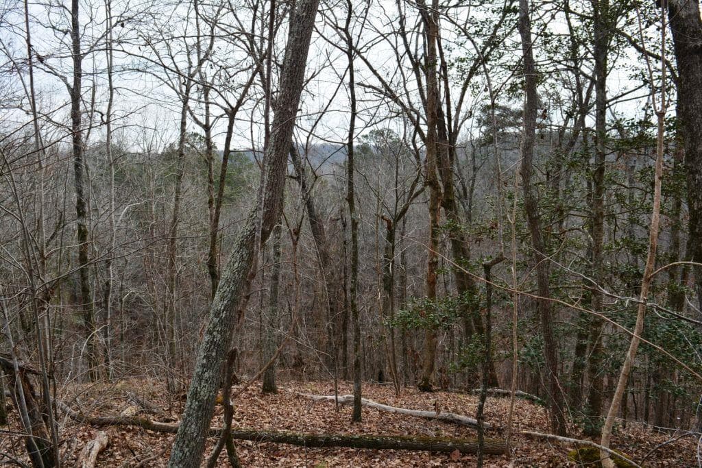 unimproved land for sale at 0 Willow Springs Road, Dallas, GA 30132 — photo 4